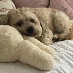 Meet your Posher, Caroline